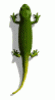Animations - 185